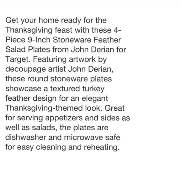 John Derian NWT 4pc Stoneware Feather Salad Plates in Blue - Picture 7 of 8